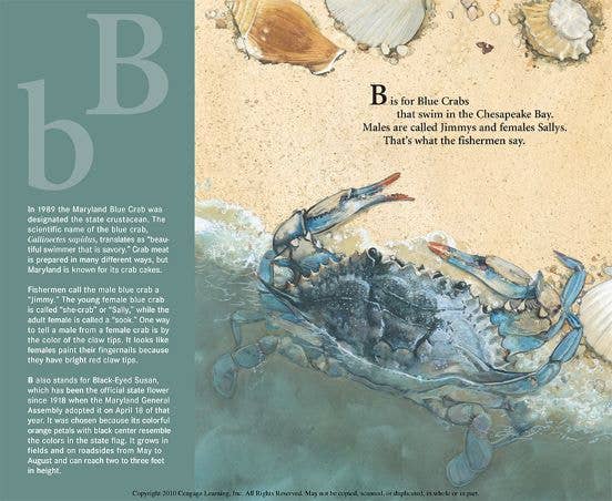 A MARYLAND Alphabet picture book: B is for Blue Crab